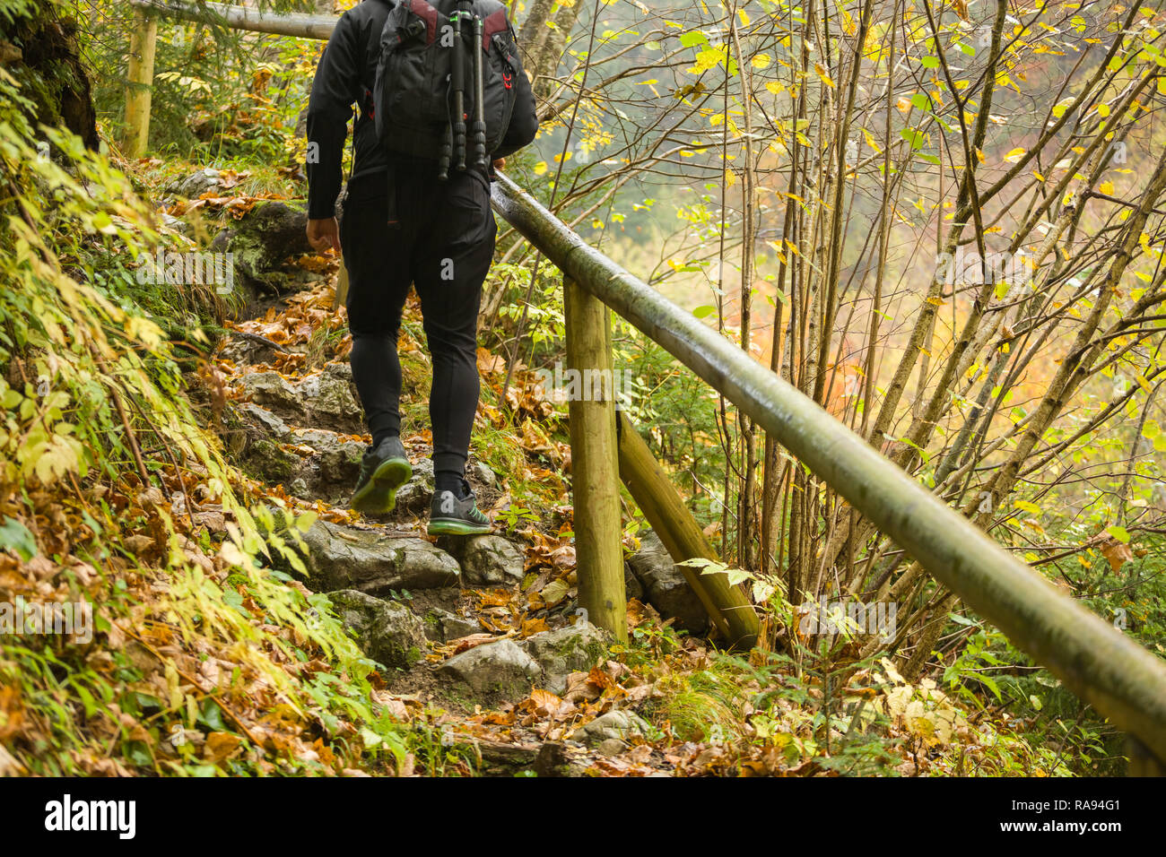 Person in the forest hi-res stock photography and images - Alamy