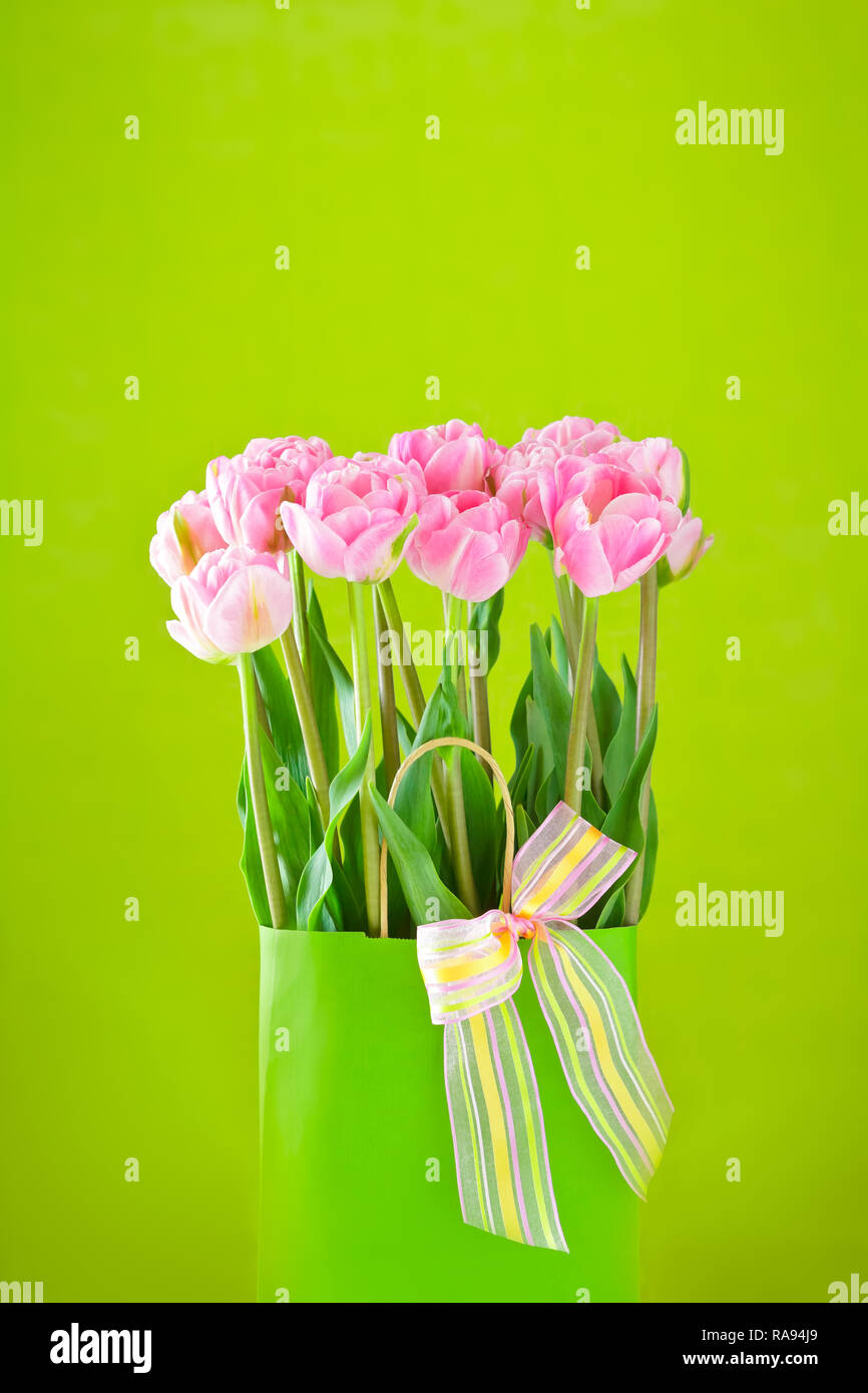 Flower bouquet of pink tulips in a vase with a multicolored bow tie on a bright green background, copy or text space Stock Photo