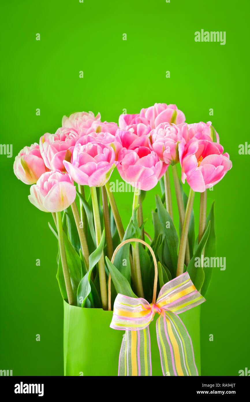 Flower bouquet of pink tulips in a vase with a multicolored bow tie on a bright green background, copy or text space Stock Photo
