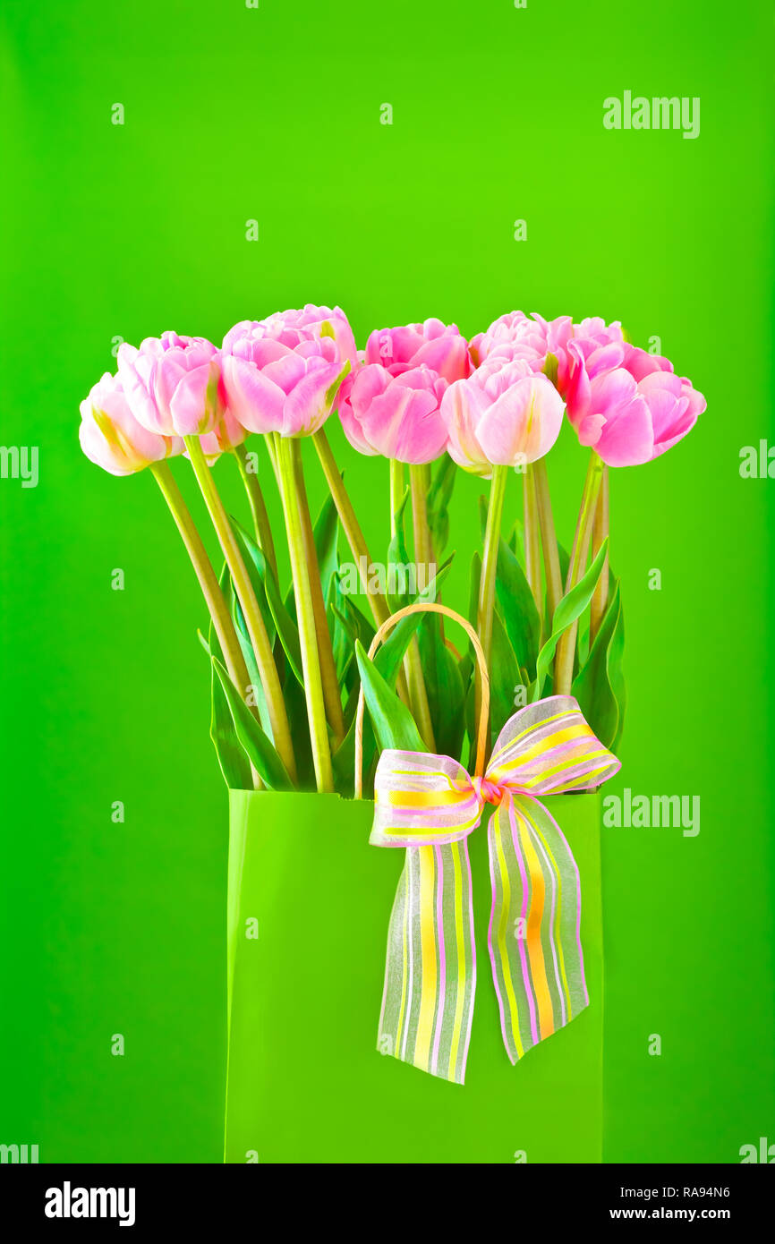 Flower bouquet of pink tulips in a vase with a multicolored bow tie on a bright green background, spring template for florists Stock Photo