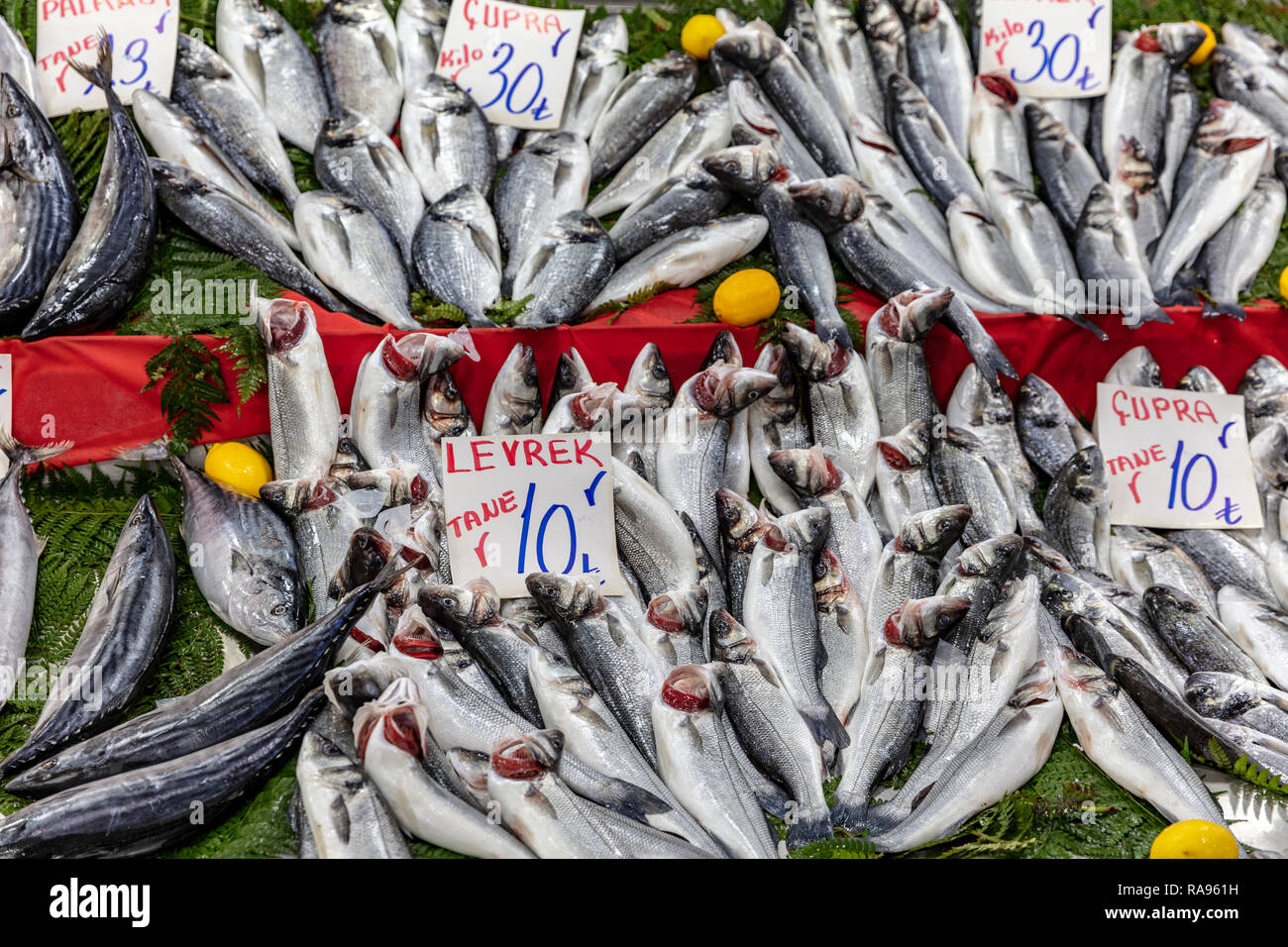 Seabass, bonito and sea bass on the counter in the fish market are