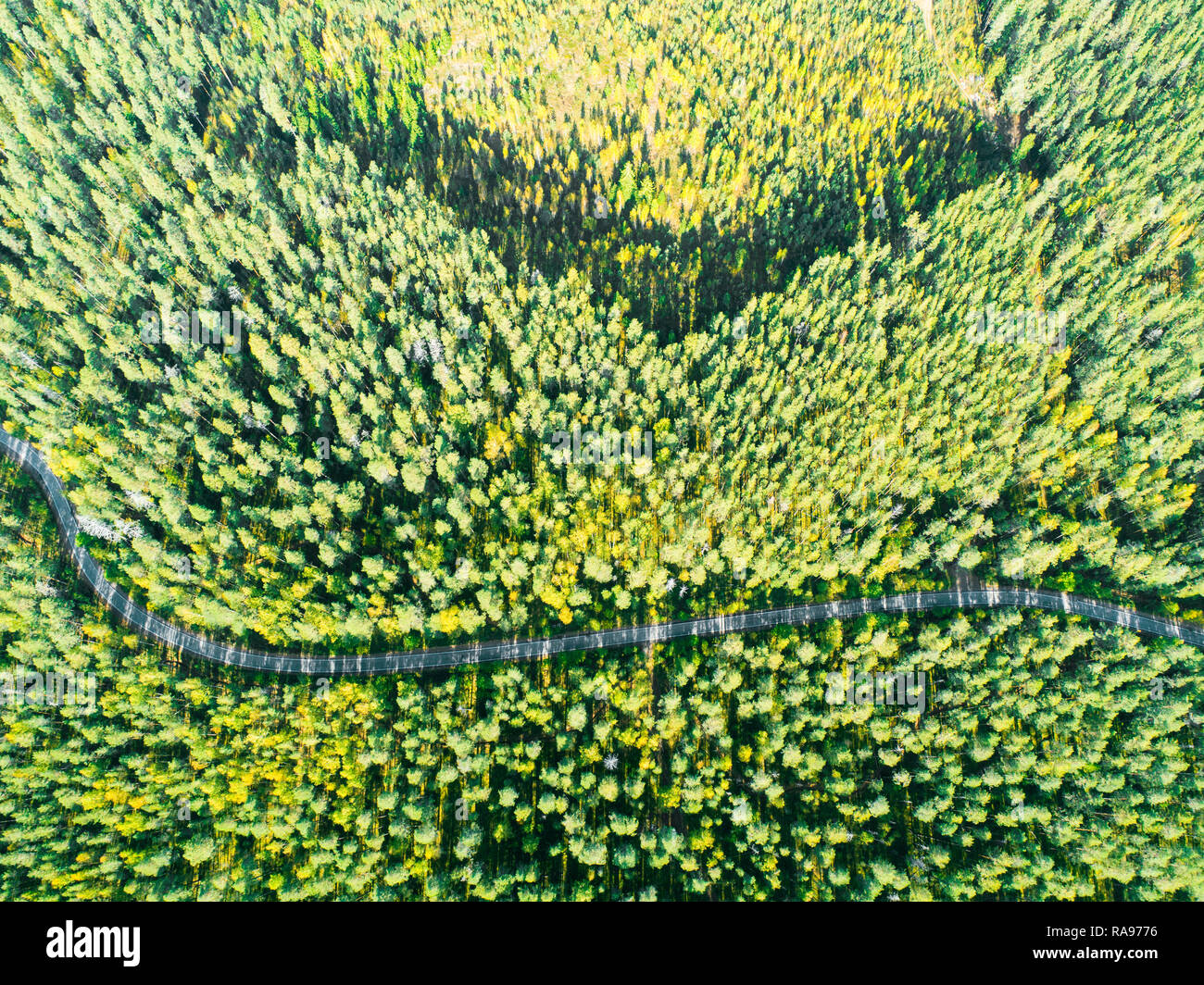 Aerial view of a country road in the forest with moving cars. Landscape ...