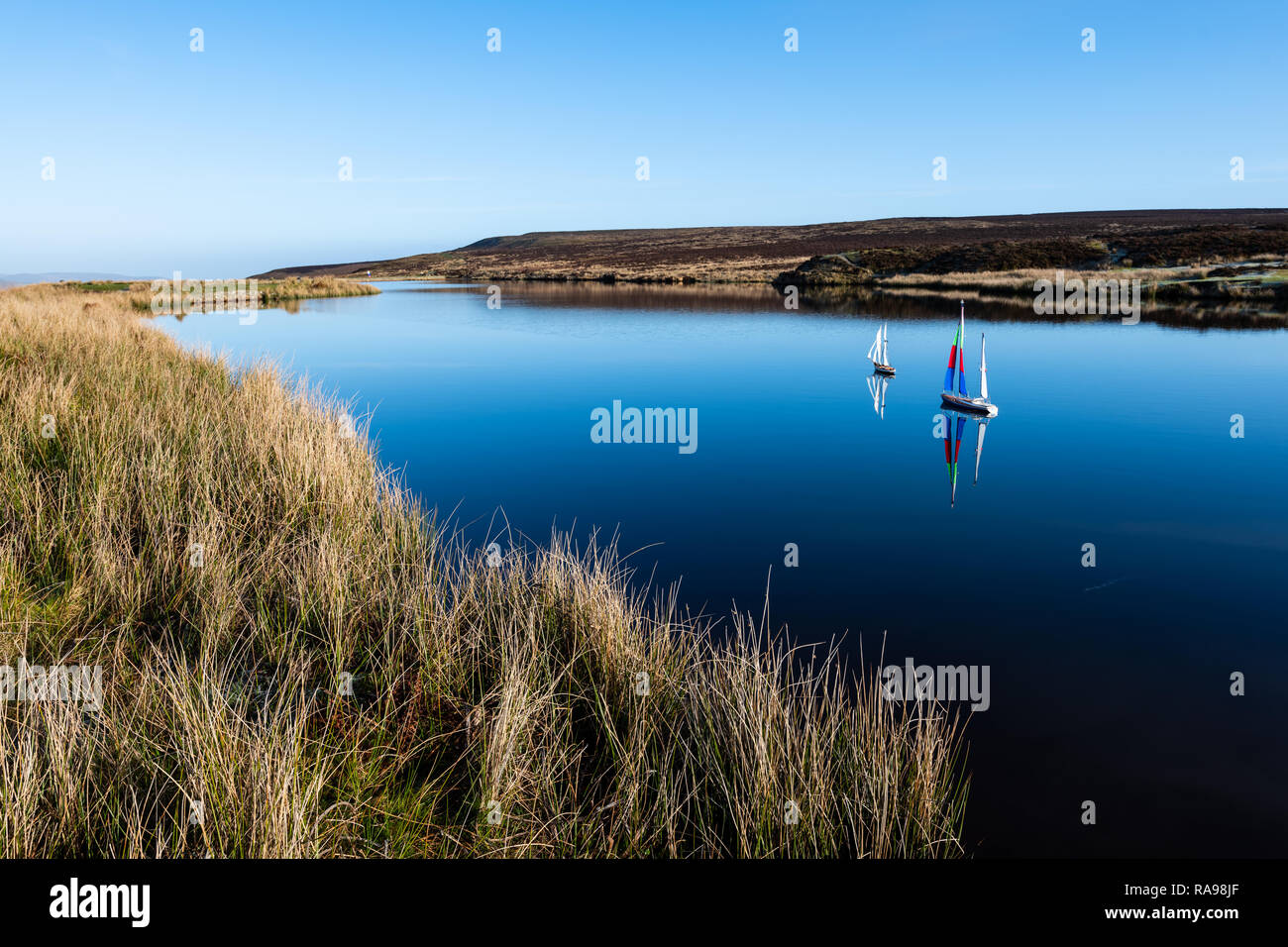 Model remote control yachts boats Stock Photo Alamy