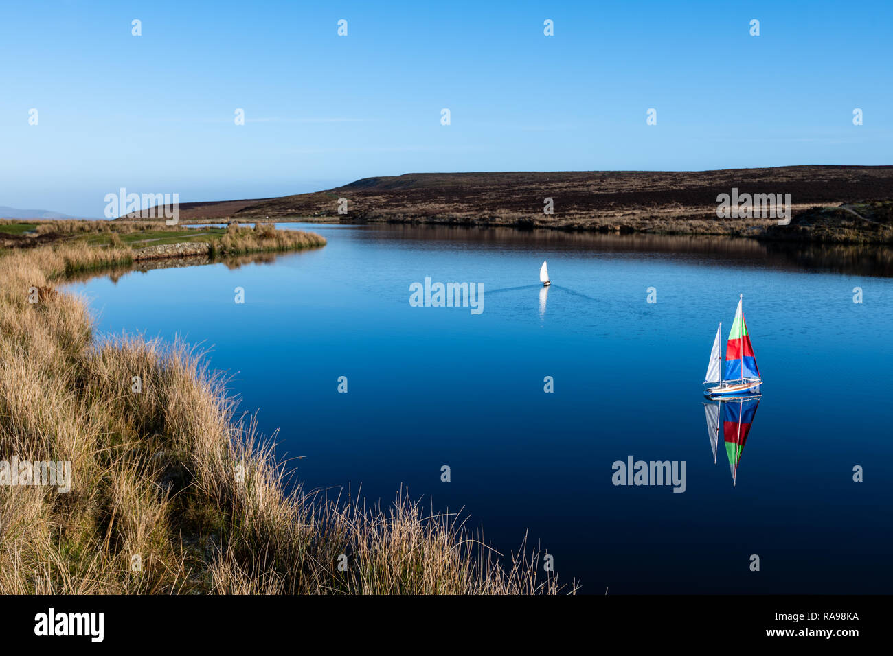 Model remote control yachts boats Stock Photo Alamy