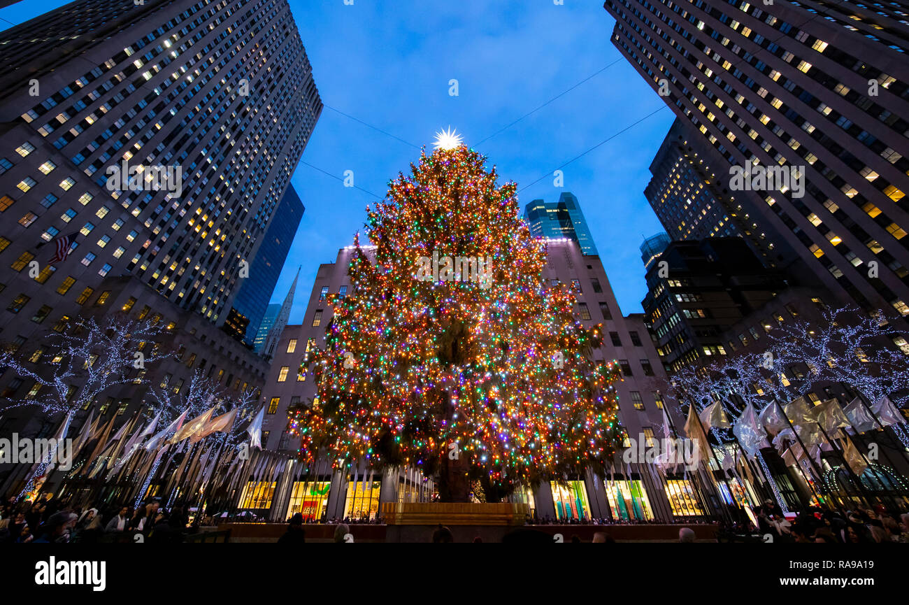 The Christmas Tree at Rockefeller Center surrounded by the angels