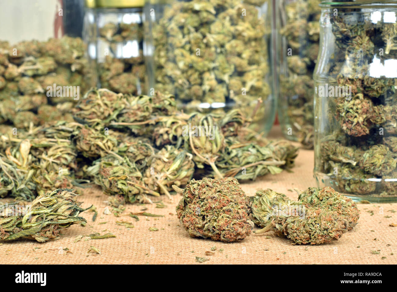 Trimmed medical cannabis buds, stored in a glass jars Stock Photo