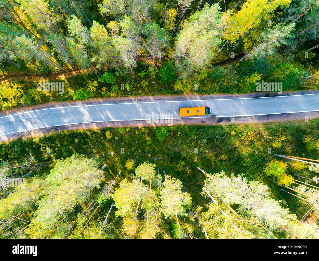 Aerial view of a country road in the forest with moving cars. Beautiful ...