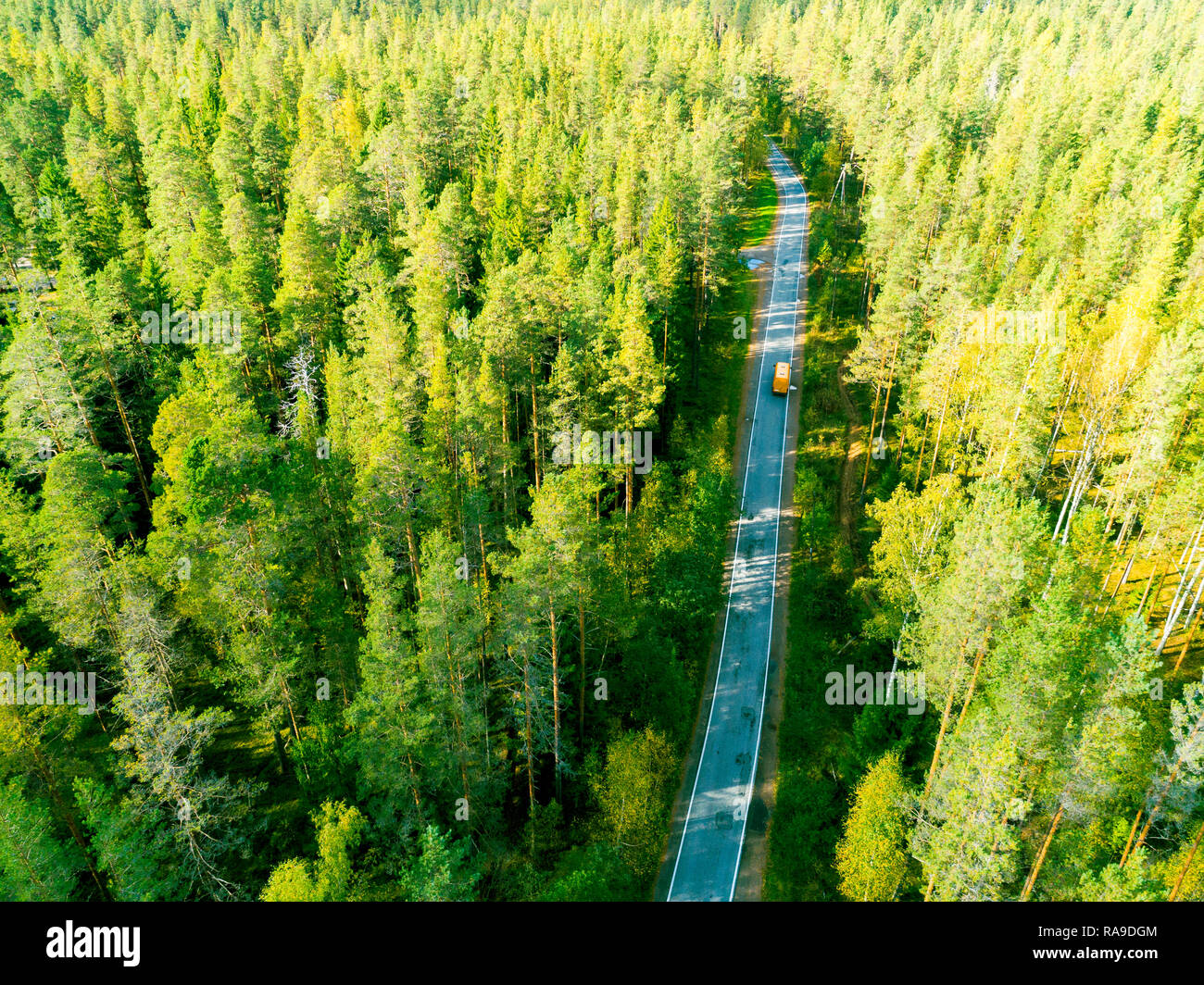 Aerial view of a country road in the forest with moving cars. Beautiful ...