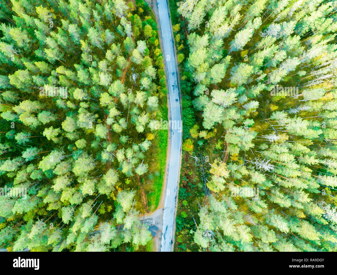 Aerial view of a country road in the forest with moving cars. Beautiful ...