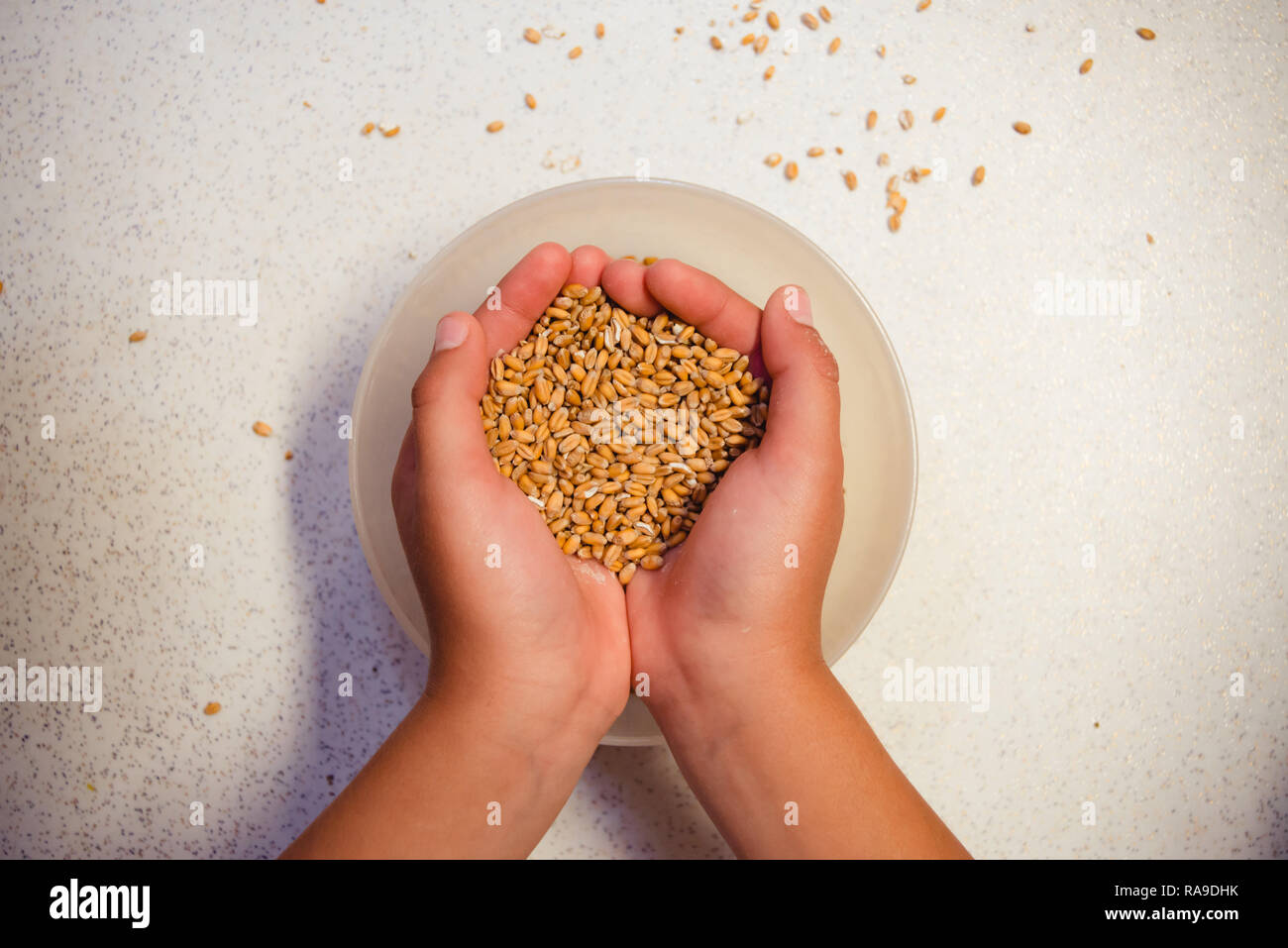 Close up to hands of children who learn how to bake from raw corn to ready bread. Stock Photo