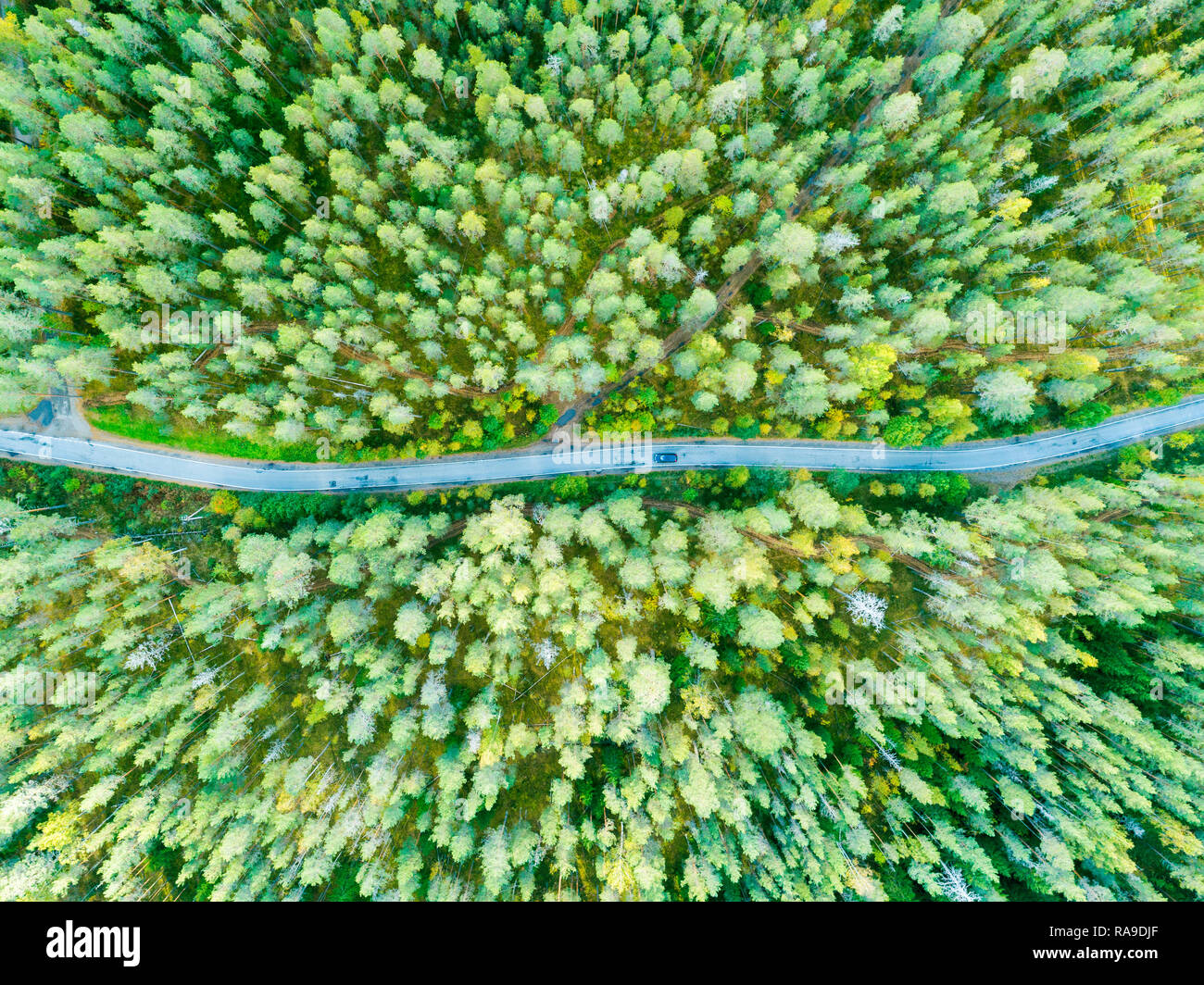Aerial view of a country road in the forest with moving cars. Beautiful ...