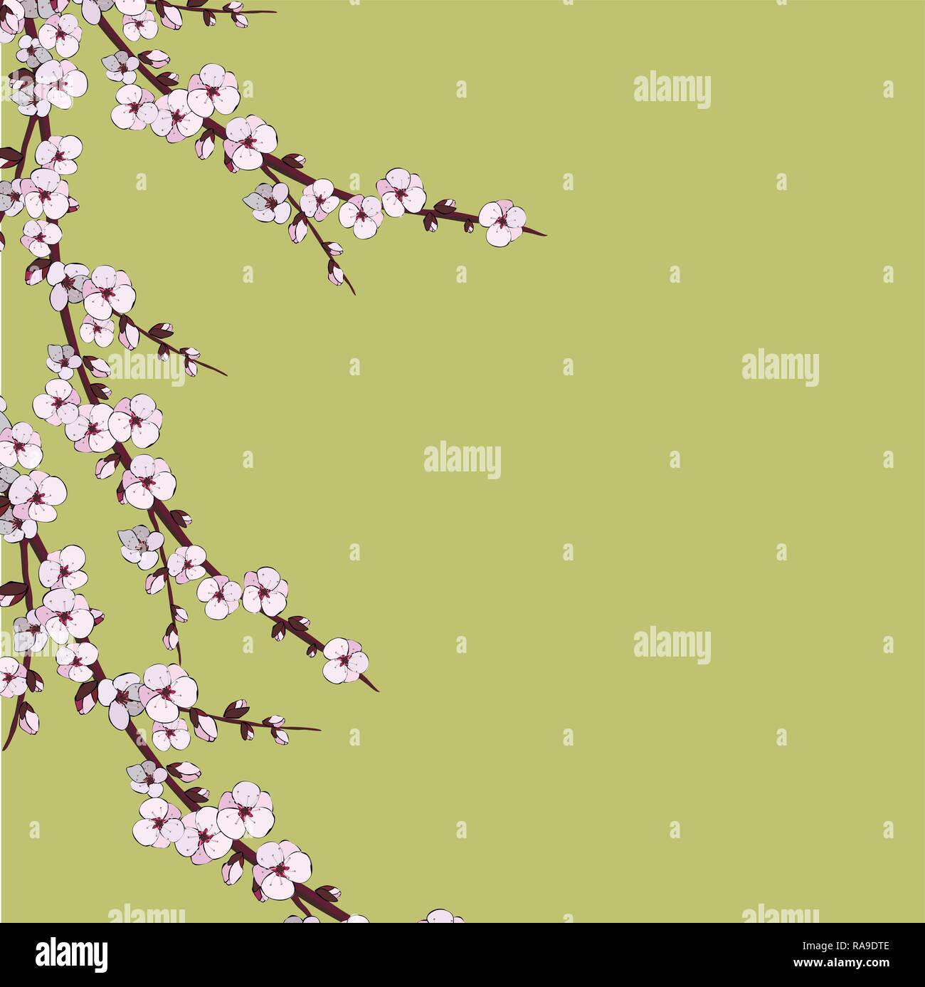 Cherry blossom. Sakura flowers. Branch with pink flowers. Vector eps 10 ...