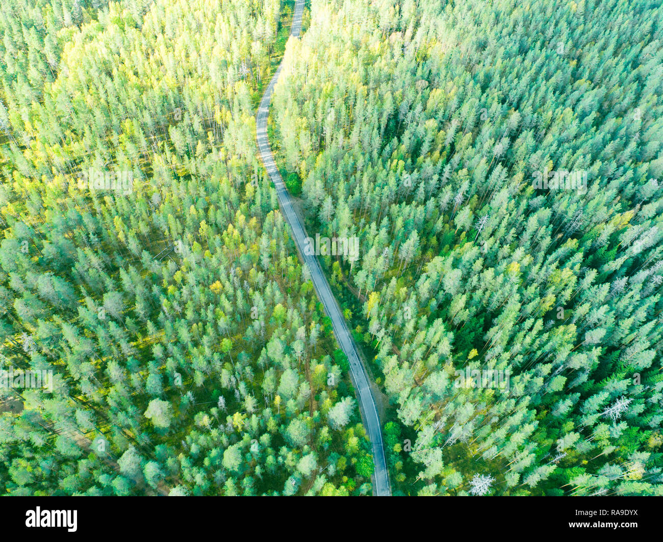 Aerial view of a country road in the forest with moving cars. Beautiful ...