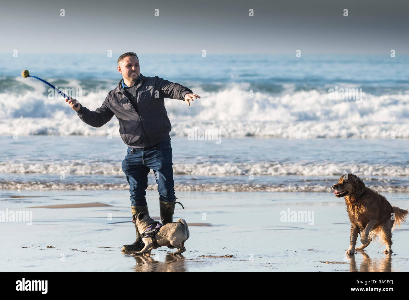 Man throwing ball for dog hires stock photography and images Alamy