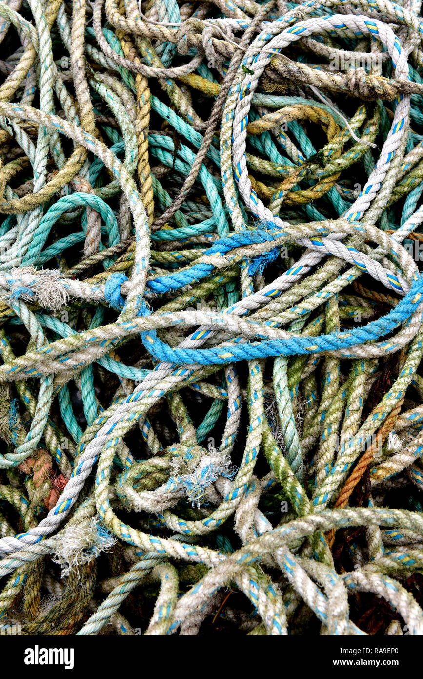 Tangled confused hi-res stock photography and images - Alamy