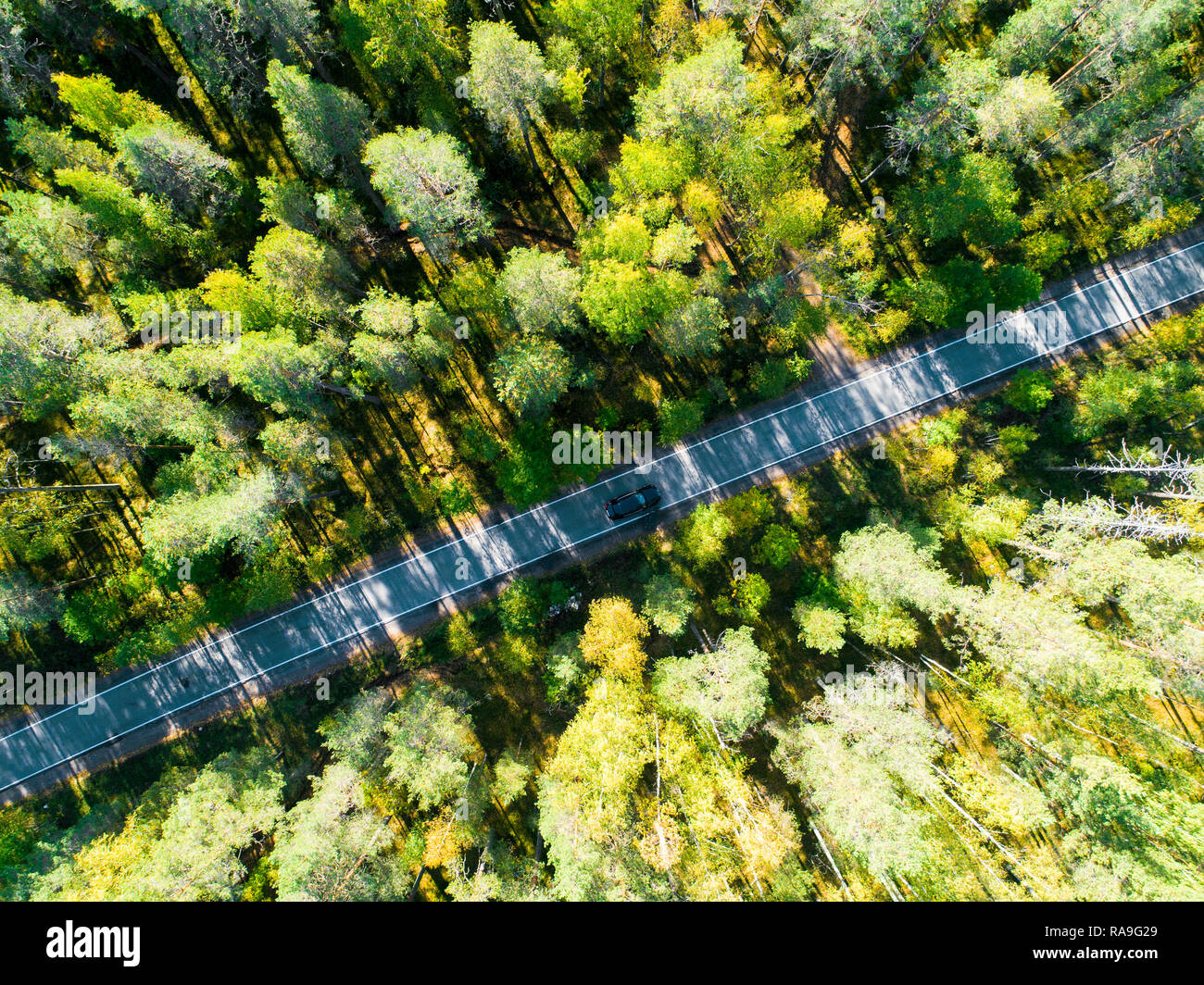 Aerial view of a country road in the forest with moving cars. Beautiful ...