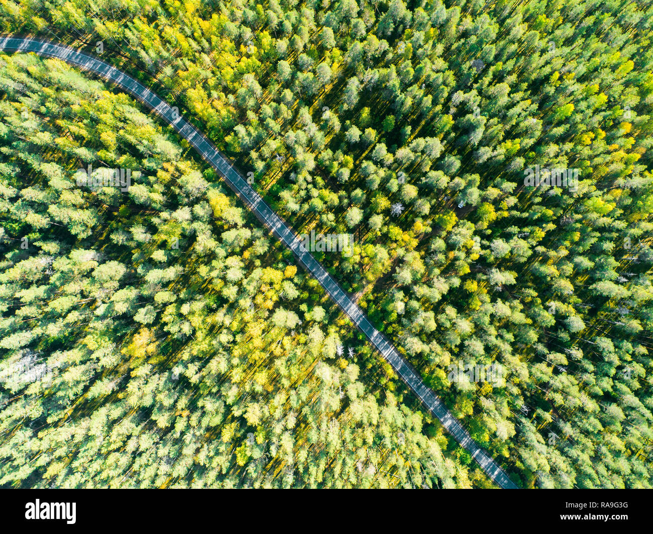 Aerial view of a country road in the forest with moving cars. Beautiful ...