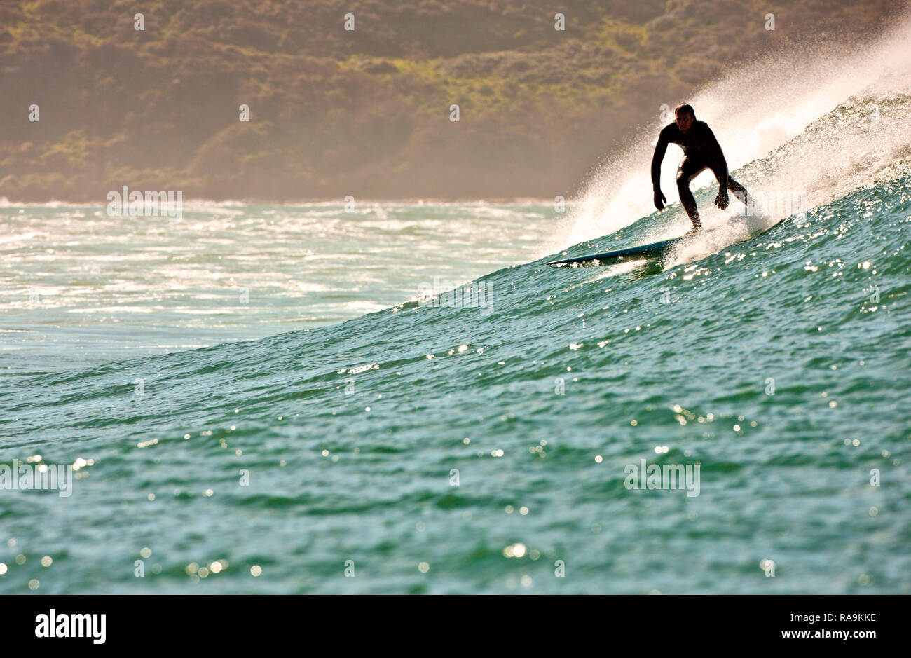 Surfer catching a wave Stock Photo Alamy