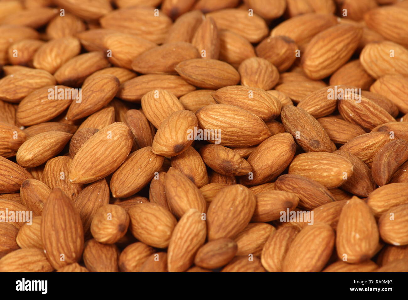 Almond Nuts Collection Stock Photo Alamy