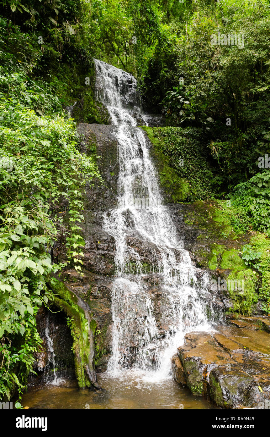 Seminário Sagrado Coração de Jesus – Portal Municipal de Turismo Corupá