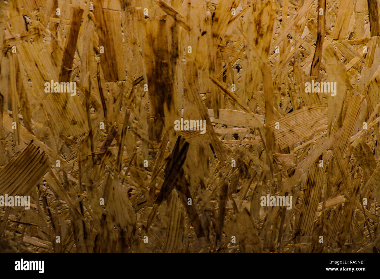 Sheet of plywood with fragments of compressed sawdust Stock Photo Alamy