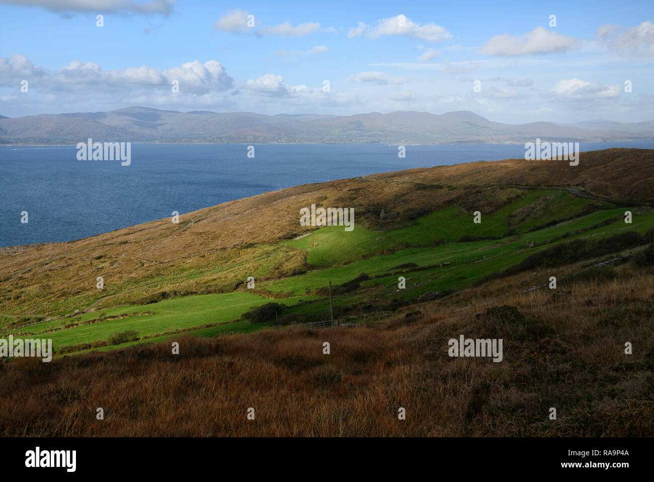 The Goat's Path Trail,route marker,post,sign,hiking,sheep's head way,lighthouse loop,hike,walk,trail,wild atlantic way,west cork,RM Ireland Stock Photo