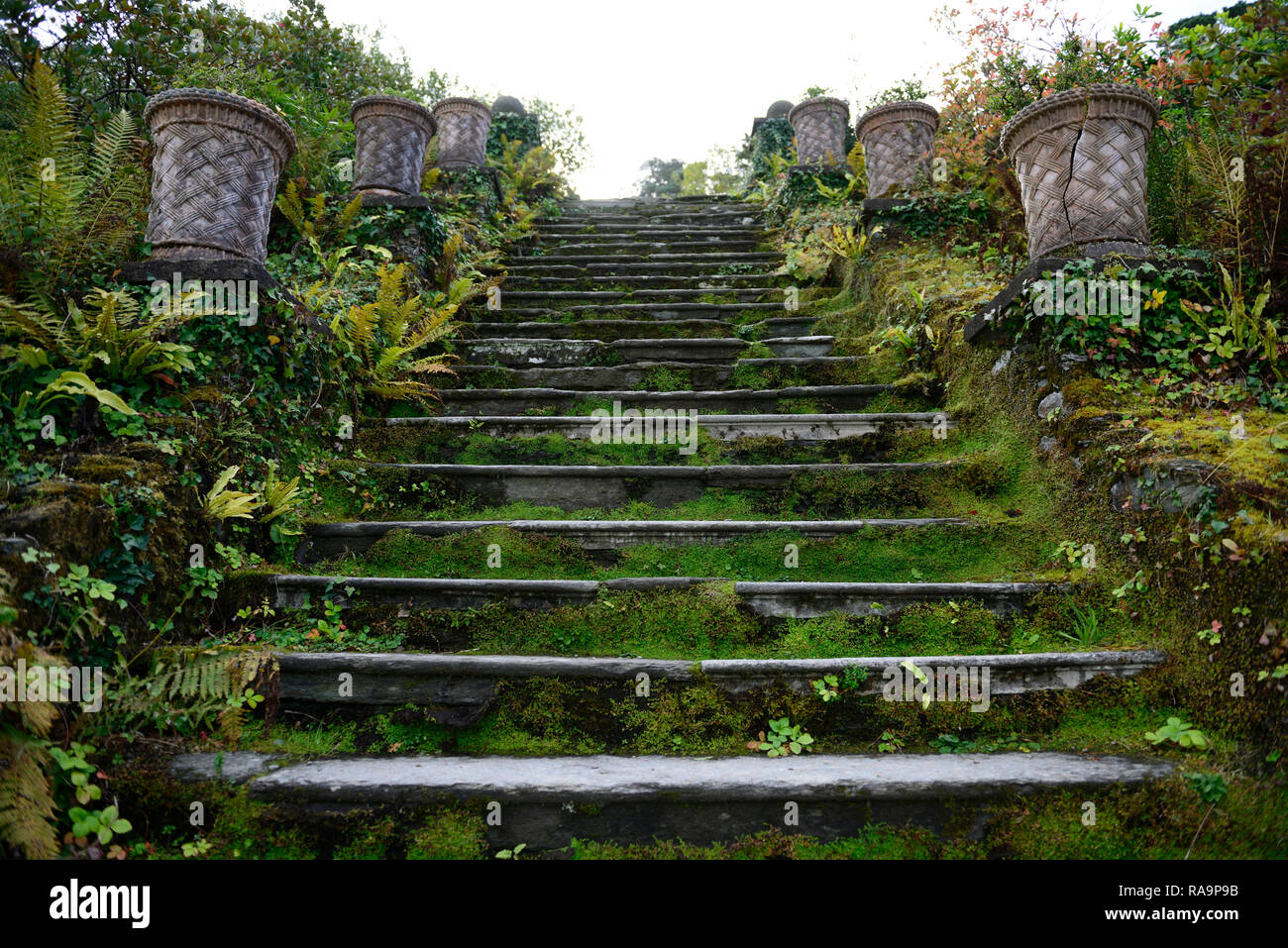 100 steps, one hundred steps,path,pathway,terrace,terraces,terrace