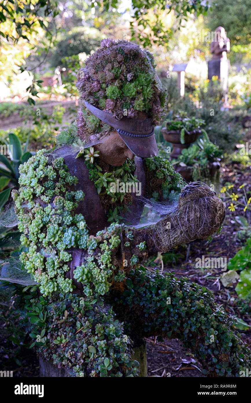 San Diego Botanical Gardens High Resolution Stock Photography And Images Alamy