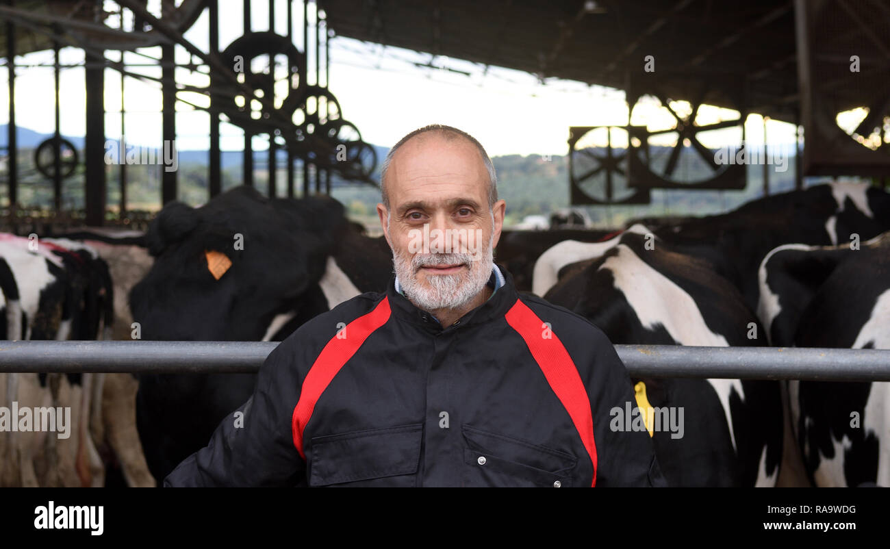 portrait of a farmer with cows Stock Photo - Alamy