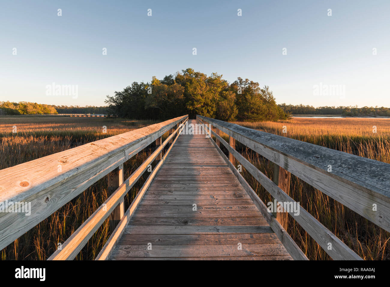 North carolina coastal marsh and nature boardwalk hires stock