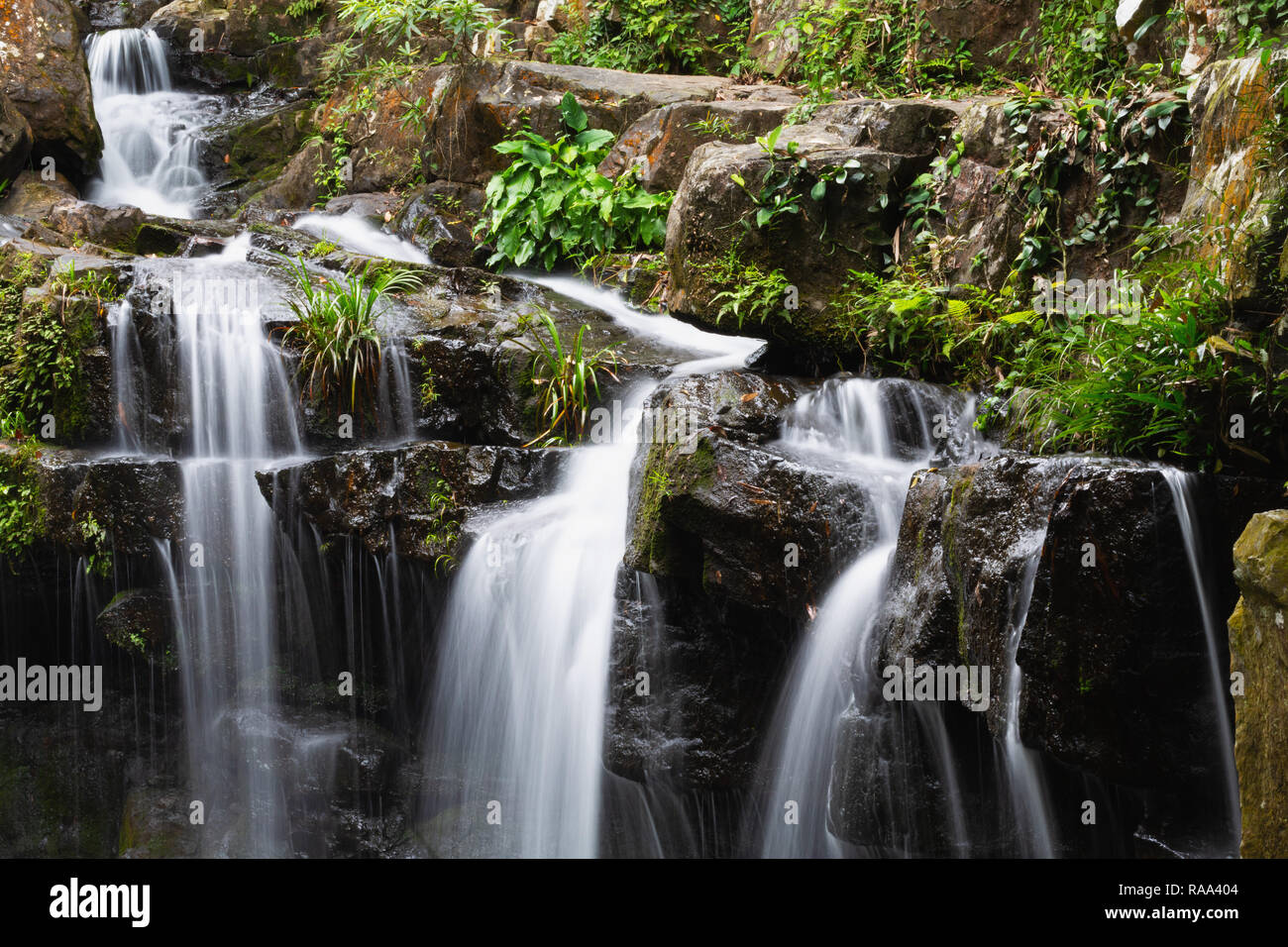 Thac Gio Waterfall, Botanical Gardens in Phong Nha, Vietnam, Asia Stock Photo