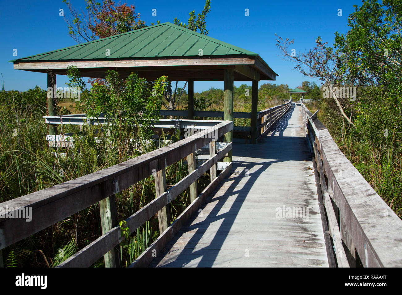 Boardwalk, Chapel Trail Nature Preserve, Pembroke Pines, Florida Stock