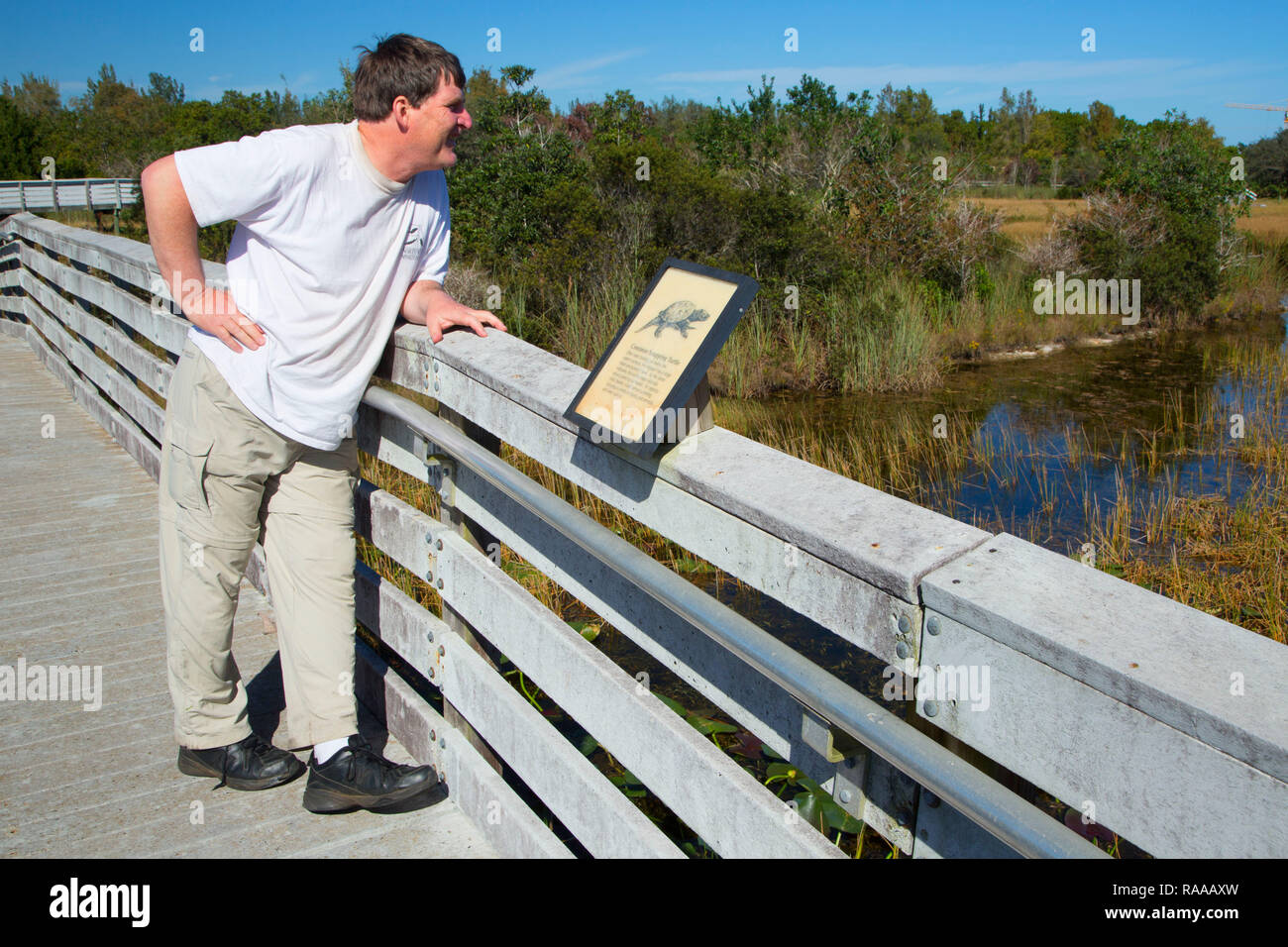 Boardwalk, Chapel Trail Nature Preserve, Pembroke Pines, Florida Stock