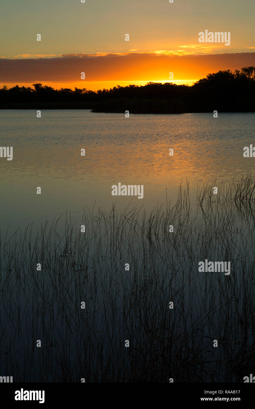Nine Mile Pond sunrise, Everglades National Park, Florida Stock Photo Alamy