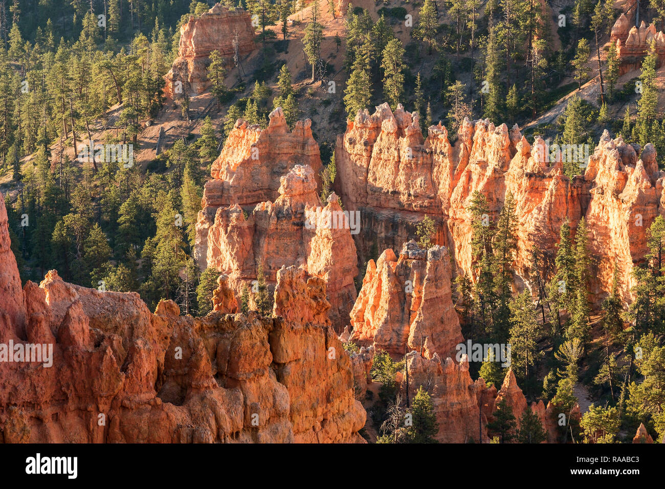 Bryce Canyon National Park, Utah, USA. Bryce Amphitheatre from the Rim Trail showing the Canyon Walls, Fins, Windows and Hoodoo rock formations. Stock Photo