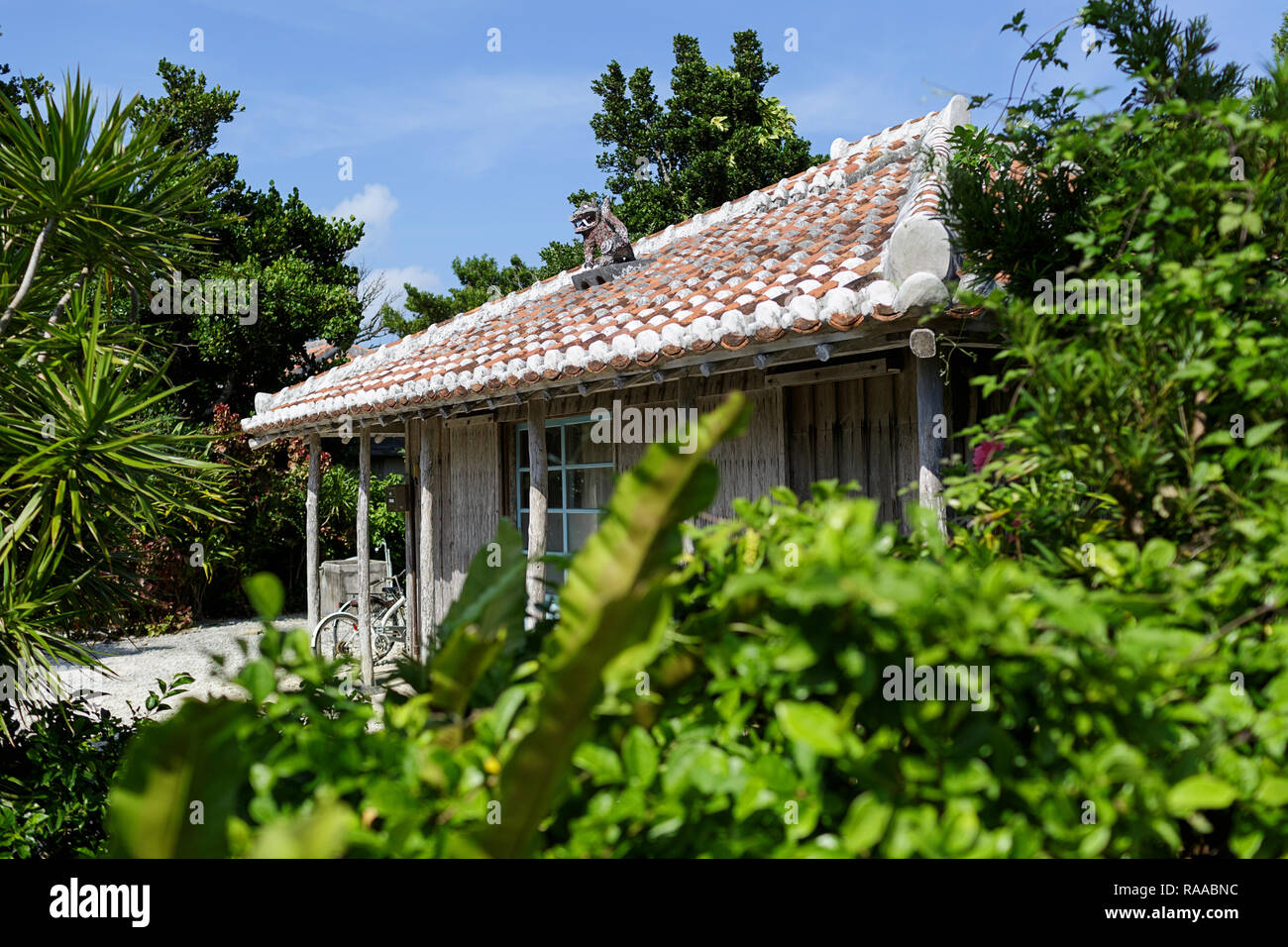 Street with traditional stonewalls at the tropical island Taktomi in Japan Stock Photo
