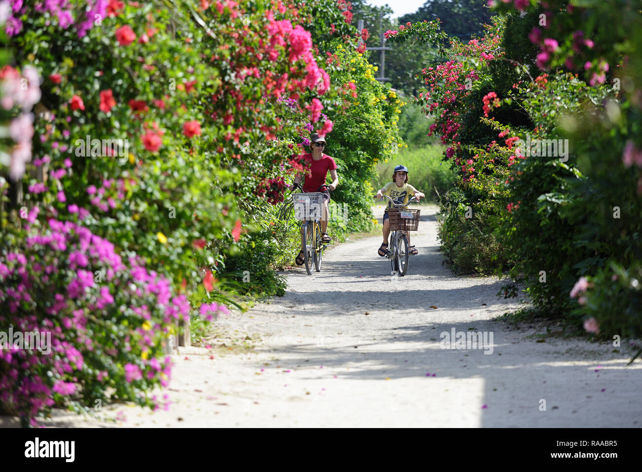 Mother and son exploring traditional village of Taketomi while riding bicycles on streets covered with hibiscus island in Okinawa,Japan Stock Photo