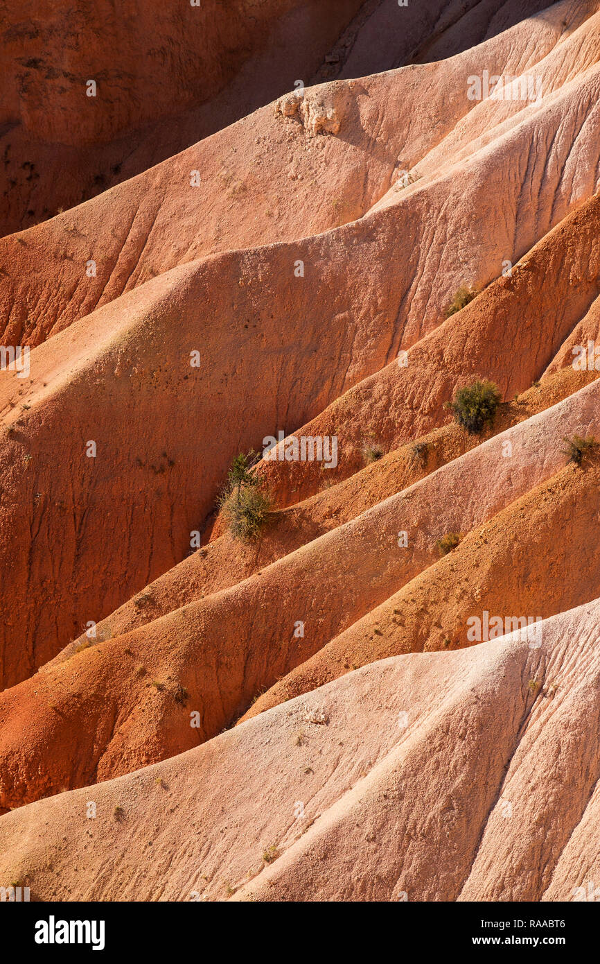 Bryce Canyon National Park, Utah, USA. Canyon walls made of eroding sedimentary limestone. Stock Photo