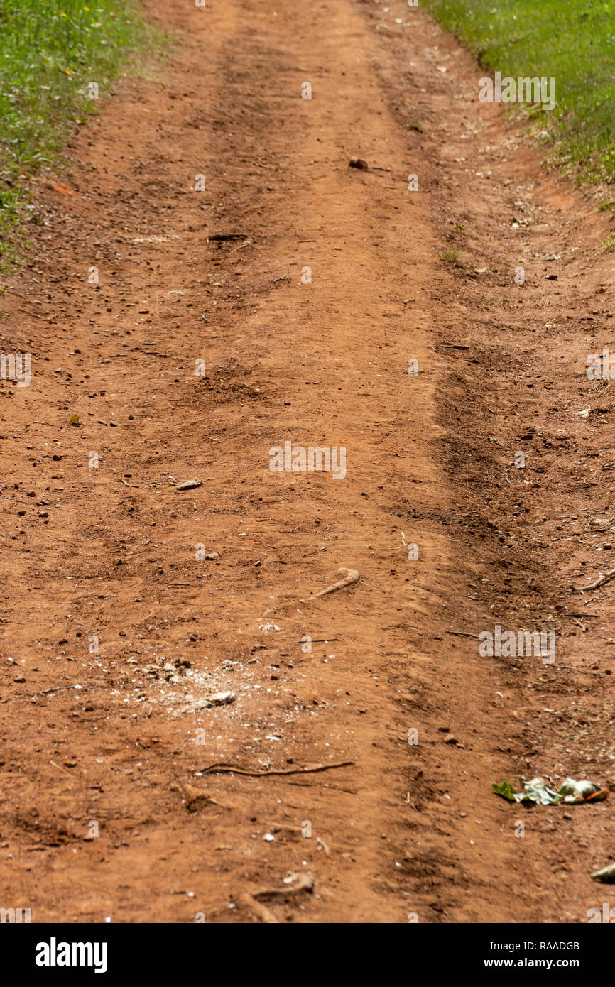 A Close up view of a uneven dirt road leading down a hill Stock Photo Alamy