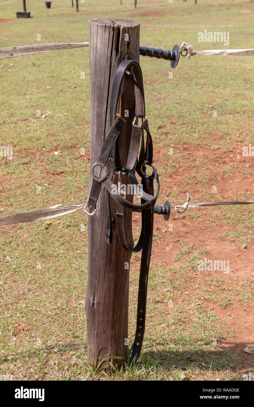 A close up view of a black horse holter hanging up on a fence pole outside a horse paddock. Stock Photo