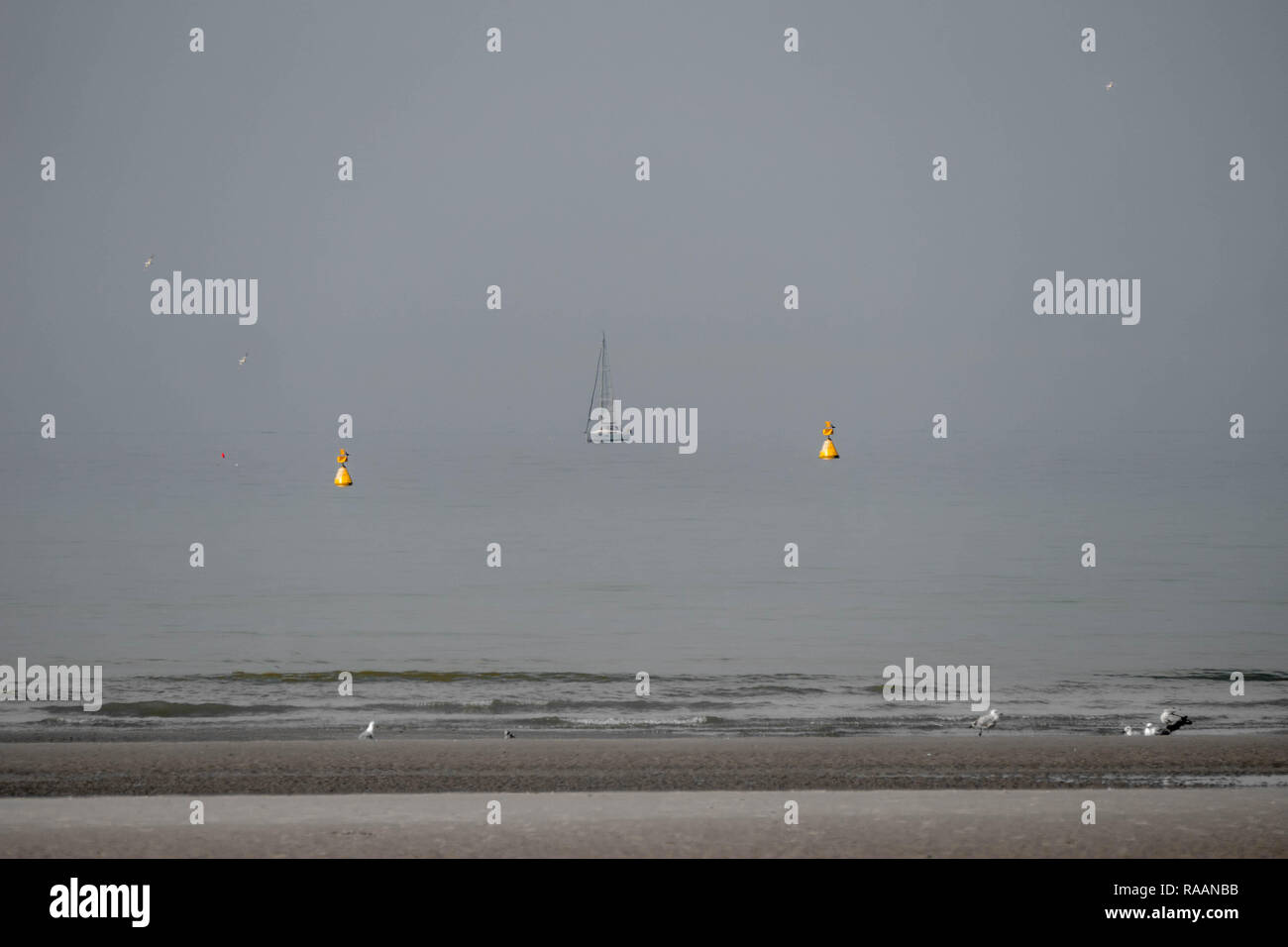 Single sailboat between buoys slightly off beach in northern France, Stock Photo
