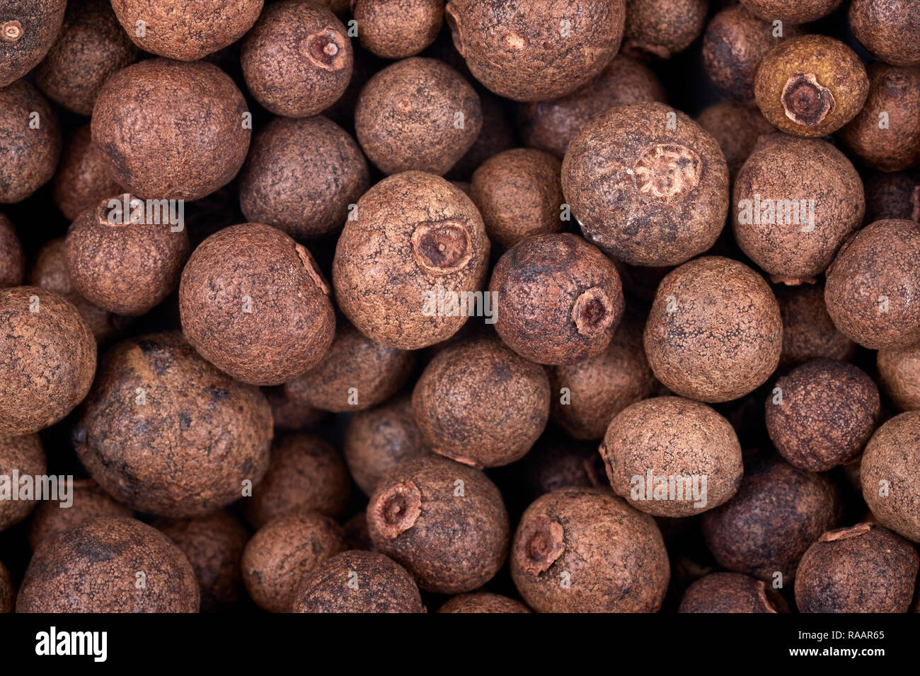 Allspice berries hires stock photography and images Alamy