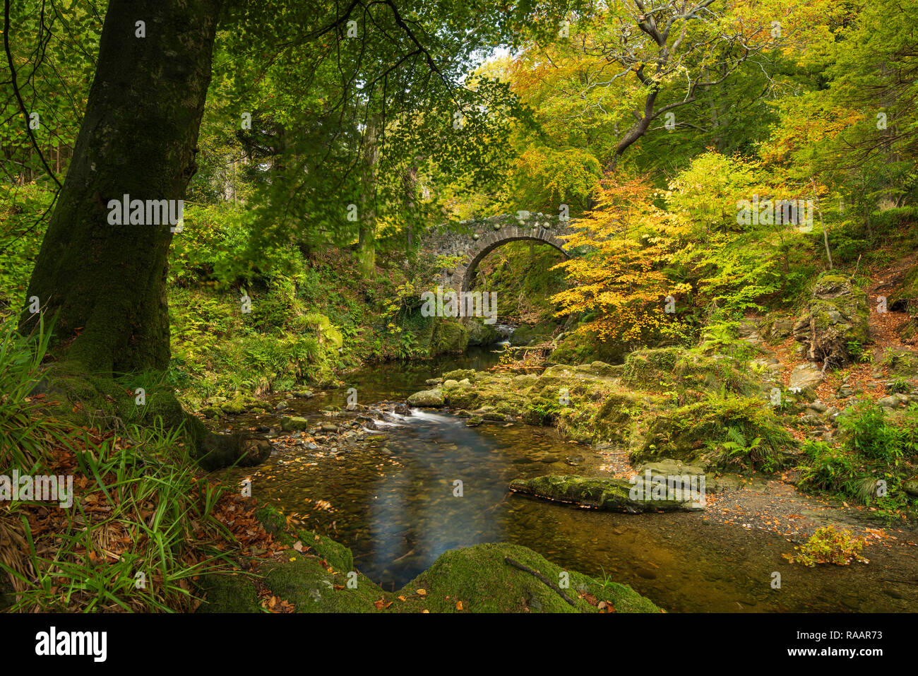 Foleys Bridge Stock Photo