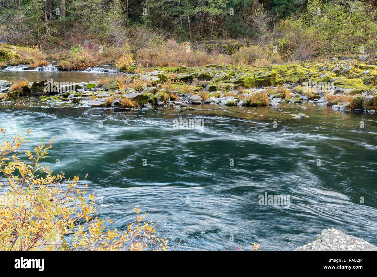 The Umpqua River in Richard G. Baker Park, Oregon, USA Stock Photo Alamy