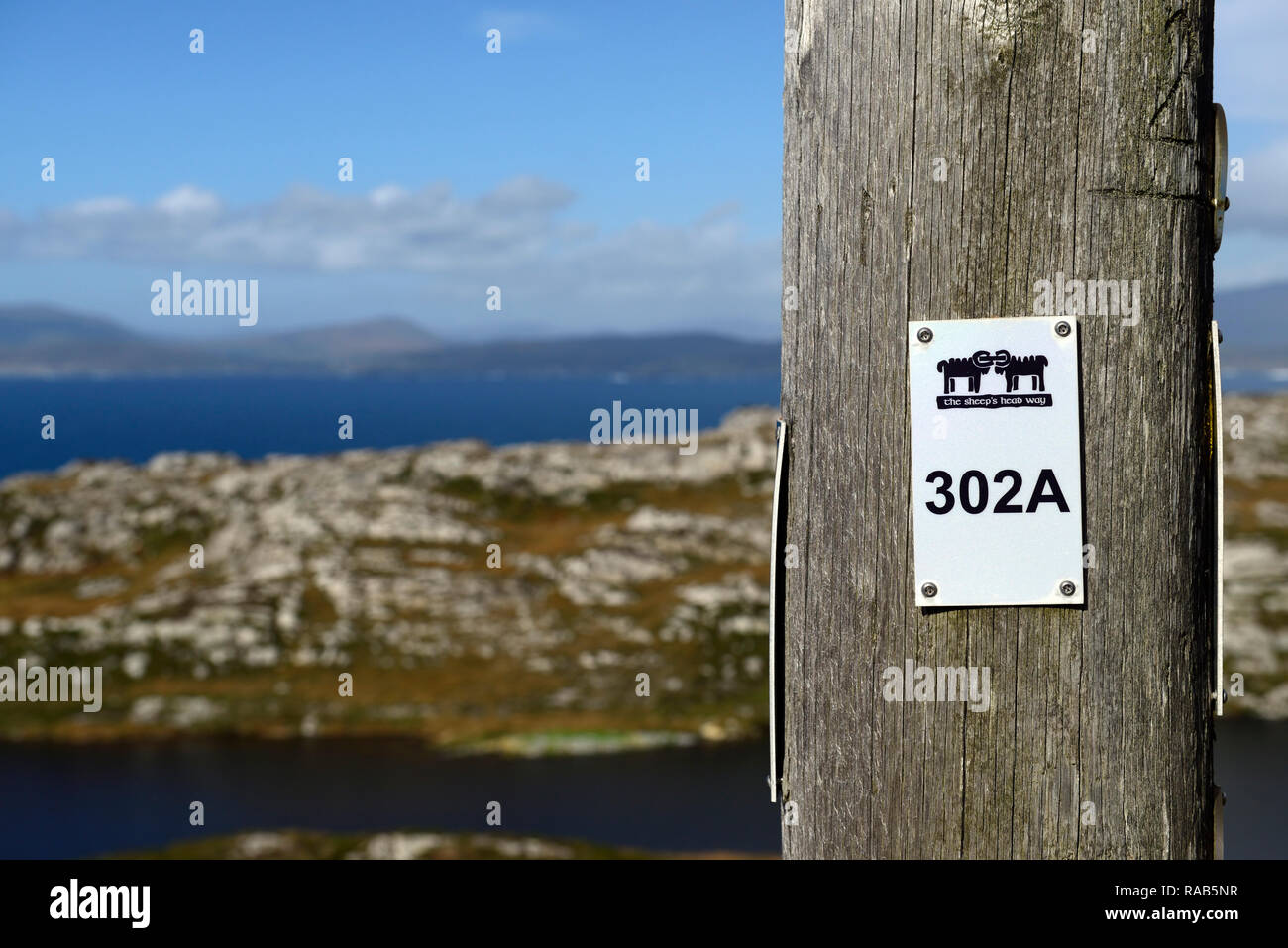 trail marker,route marker,post,sign,hiking,sheep's head way,lighthouse loop,hike,walk,trail,wild atlantic way,west cork,RM Ireland Stock Photo