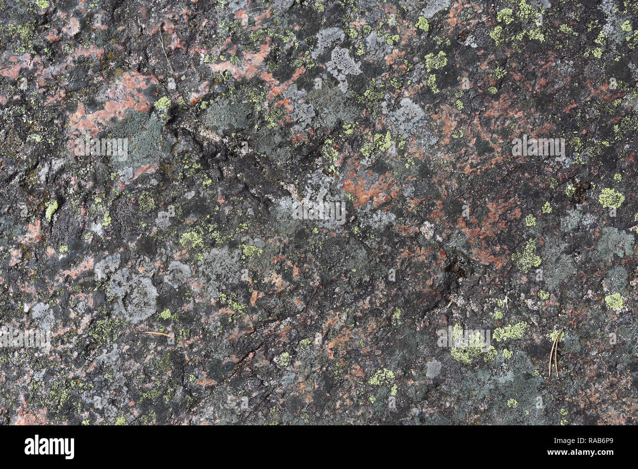 Colorful rock in a closeup. You can see the texture of the rock and some lichen and other small plants growing on top of it. Stock Photo