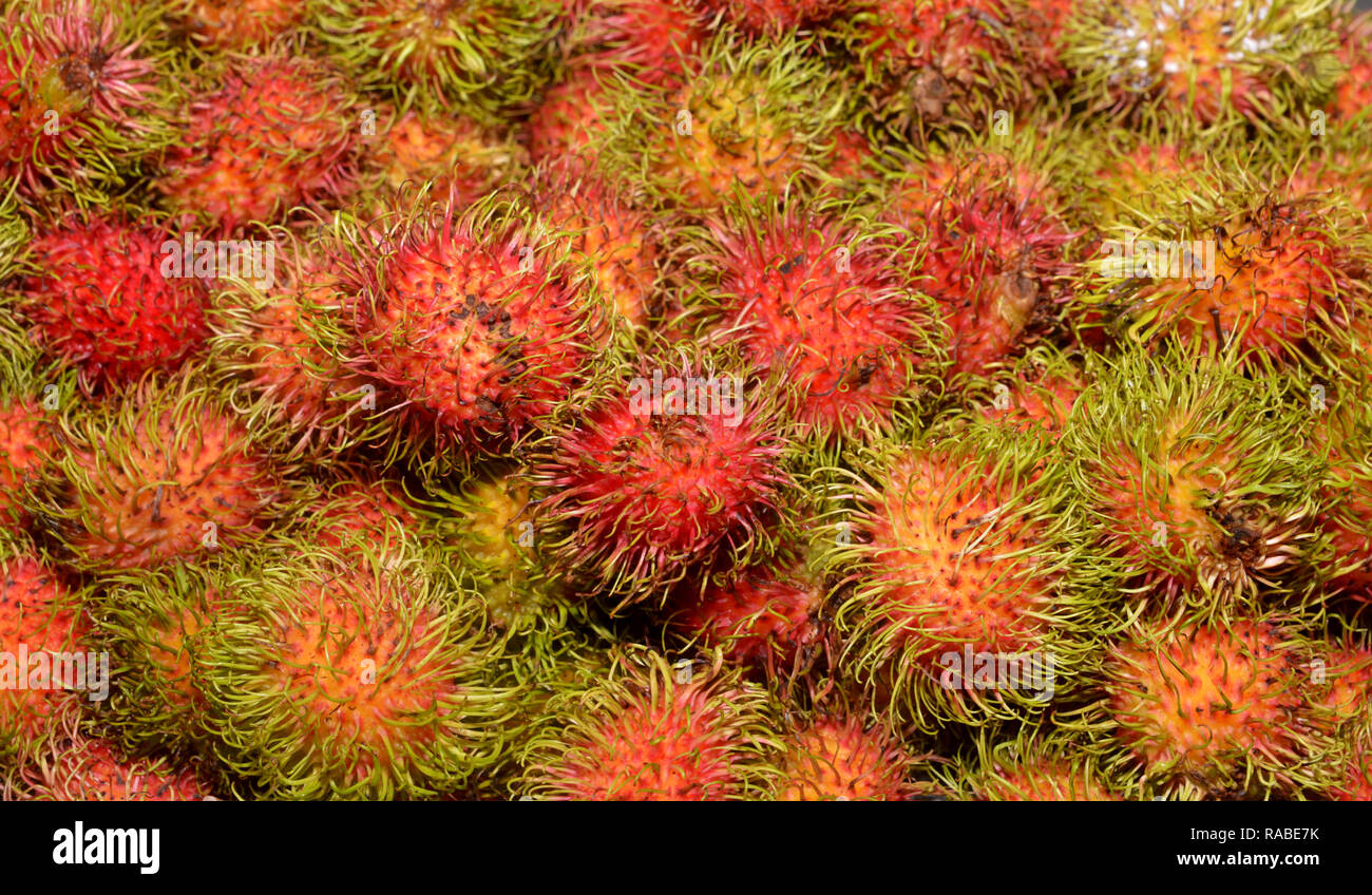 Rambutan fruit market thailand hi-res stock photography and images - Alamy