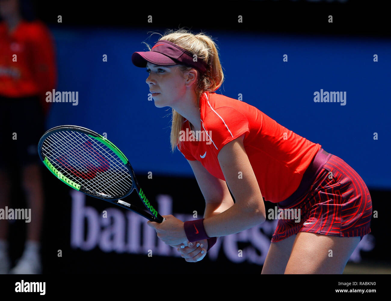RAC Arena, Perth, Australia. 3rd Jan, 2019. Hopman Cup Tennis, sponsored by  Mastercard; Katie Boulter of Team Britain waits for Serena Williams of Team  USA to serve Credit: Action Plus Sports/Alamy Live