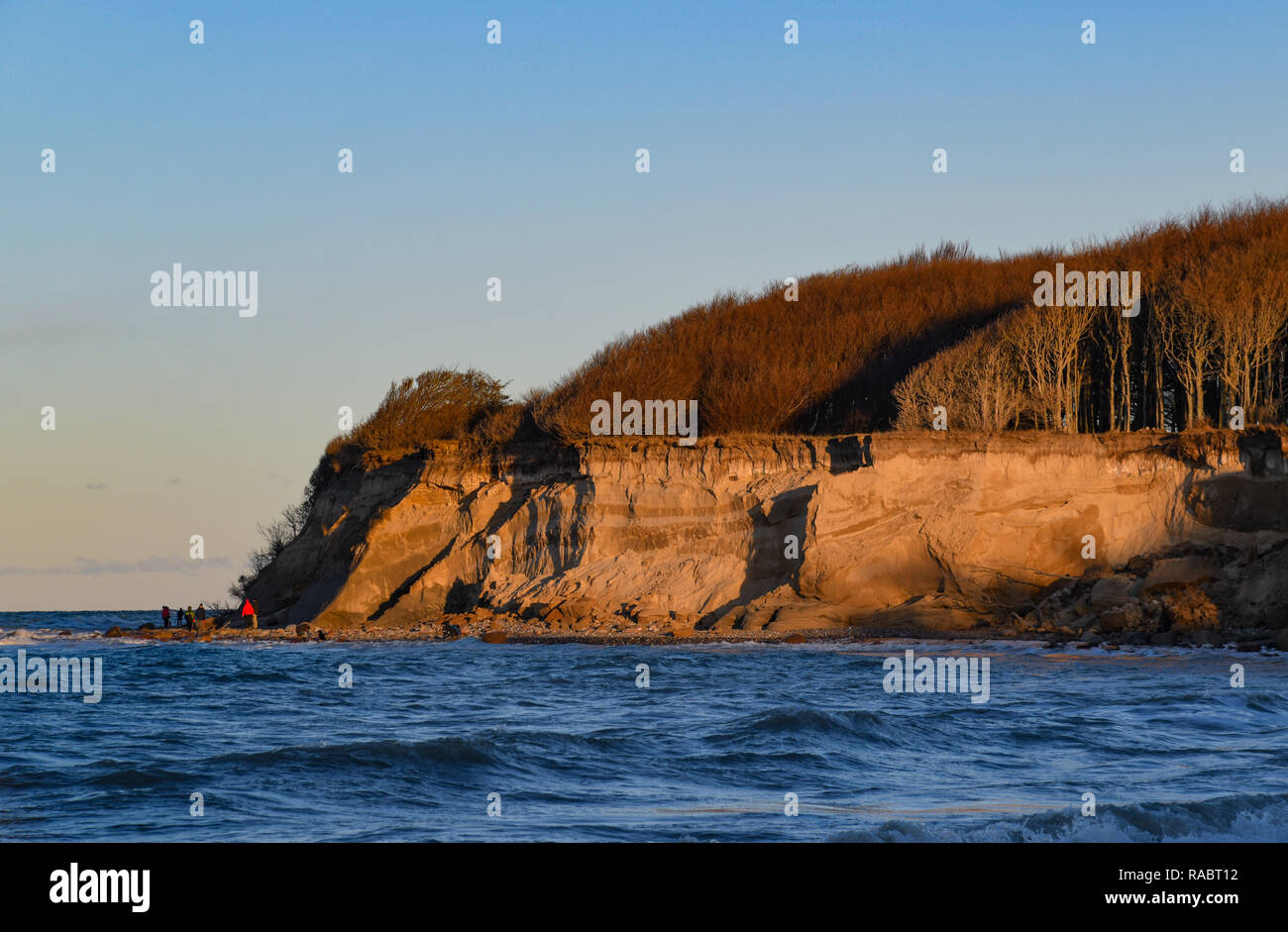 Dranske, Germany. 03rd Jan, 2019. Steep coast at the Baltic Sea at the ...