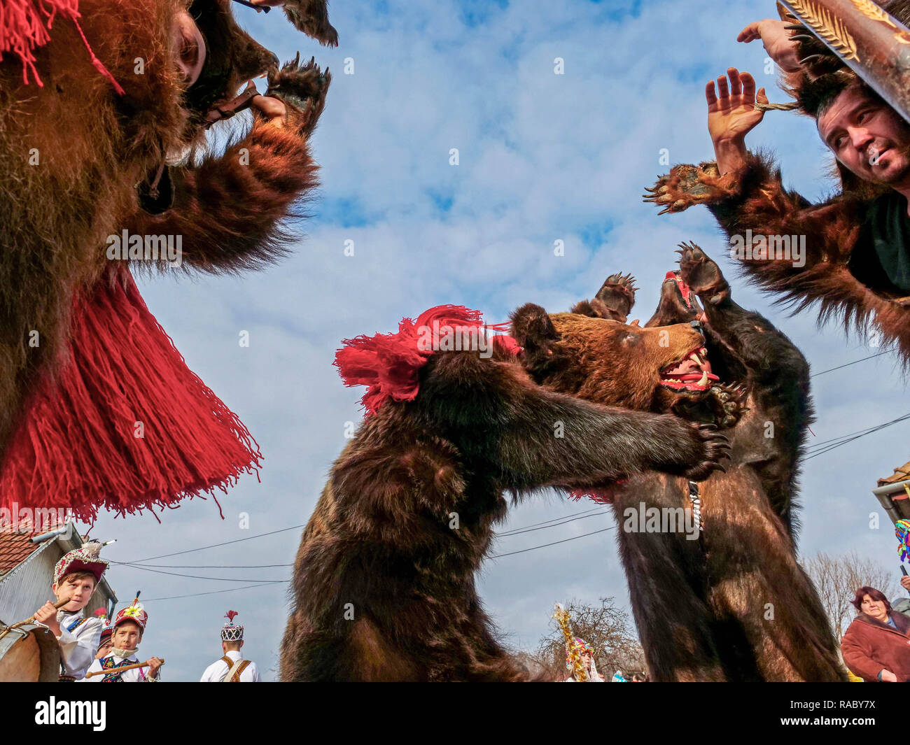 Performers dressed in bear skins dancing during an end of year festival. People in Trotus Valley in Romania dress into bear skins and dance to chase away bad luck and bring happiness Performers dressed in bear skins dancing during an end of year festival. People in Trotus Valley in Romania dress into bear skins and dance to chase away bad luck and bring happiness